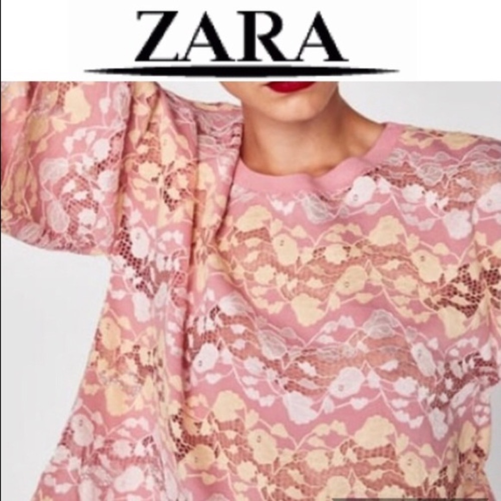 Zara Pink Lace And Embroidered Top